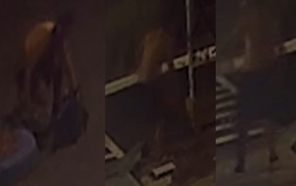 Suspect wanted for vandalizing Jewish school in Clermont on December 10