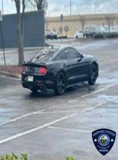 Black Ford mustang wanted in theft of $90,000 in gold Cuban link chains