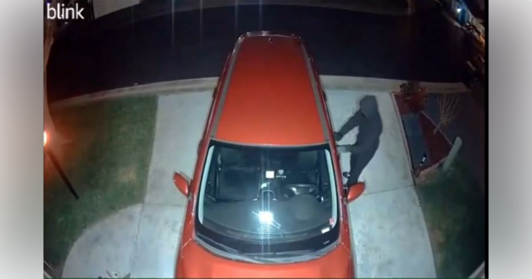 Clermont police looking for ‘armed and dangerous’ suspect in vehicle burglary
