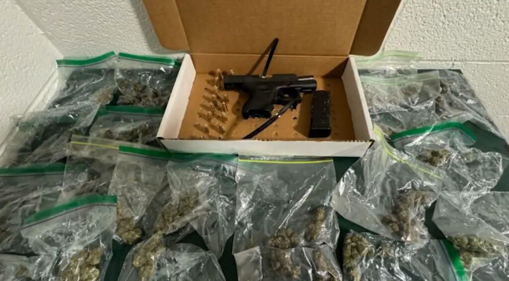 Firearm and marijuana recovered from New Smyrna Beach (Photo by Volusia County Sheriff's Office)