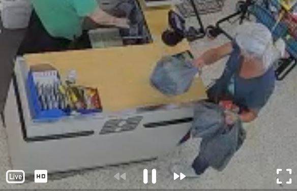 VCSO wallet theft at Dollar Tree photo of female suspect (April 2, 2024) 3