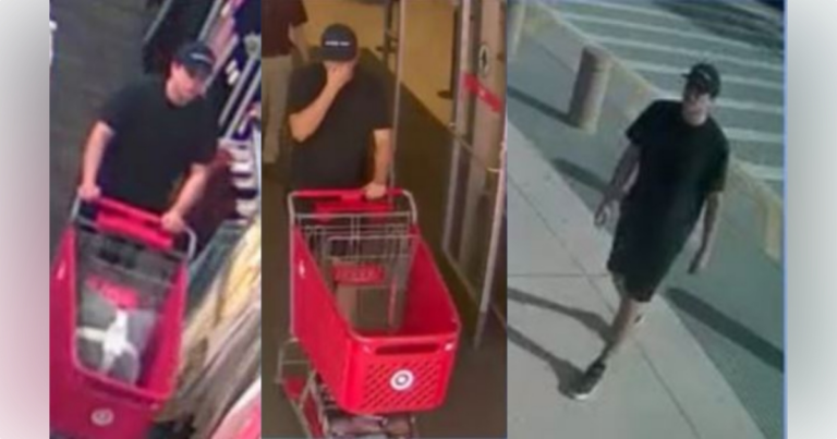 Clermont police are searching for this individual in connection with a theft that occurred at a local Target on February 10, 2024.