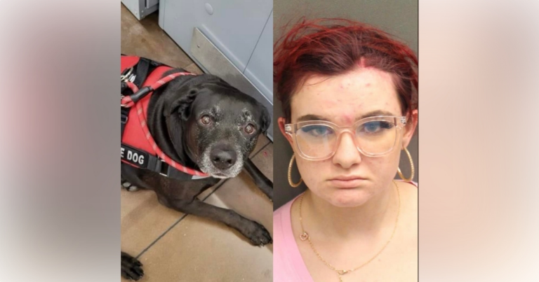 Emily Rose Modjeski was arrested on May 2, 2024, for allegedly stealing an SUV that had a service dog inside.