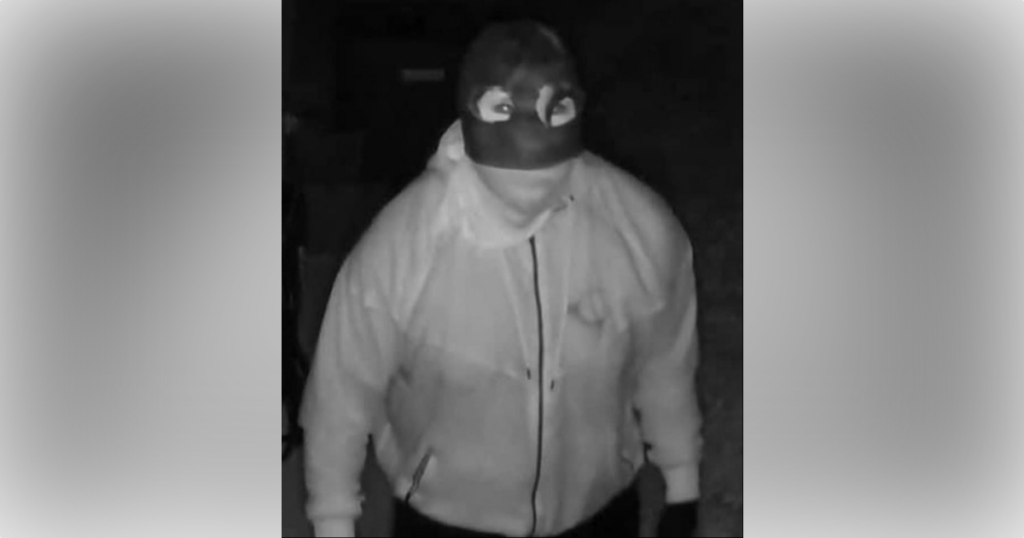 According to VCSO, a masked suspect later identified as Malik J. McKenzie allegedly shot a couple inside a Deltona home on August 19, 2024.