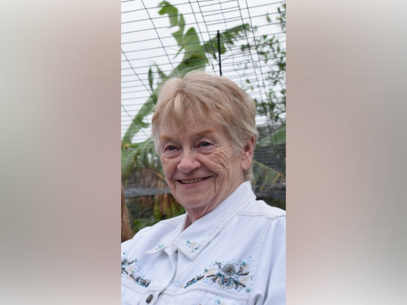 Kay A. Reimer