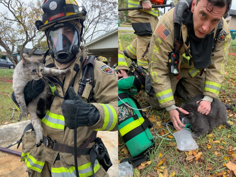 Firefighters rescued two cats from a house fire in Winter Springs on January 23, 2025. (Photos: Seminole County Fire Department)