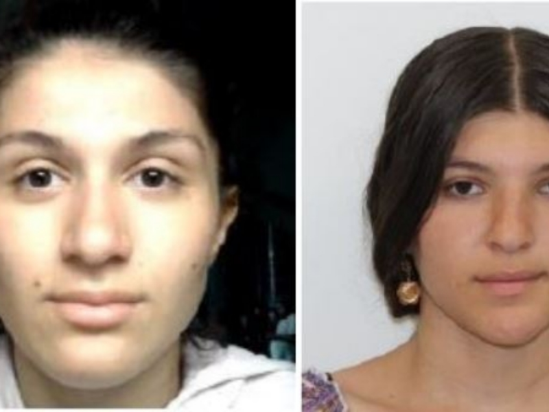 Two Romanian women - Rossina Domitru and Rosaura Vaduva Domitru (pictured above) - are accused of fraudulently purchasing large quantities of baby formula in Florida. (Photos: Volusia County Sheriff's Office)
