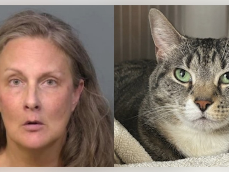 On February 21, 2026, Sara Ruth Jenkins was arrested for allegedly attacking her relative's cat, Mila. (Photos: Brevard County Sheriff's Office)