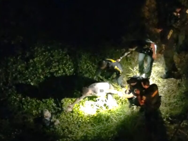 OCSO deputies rescuing a 79-year-old man from a pond on April 7, 2026. (Photo: Osceola County Sheriff's Office)