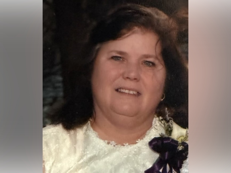 Debra Ann Stein