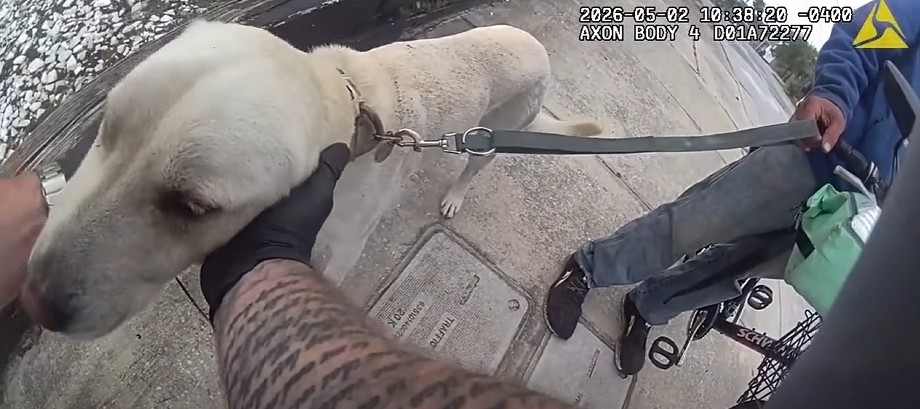 The Daytona Beach police officer petting the dog, Brew, on May 2, 2026