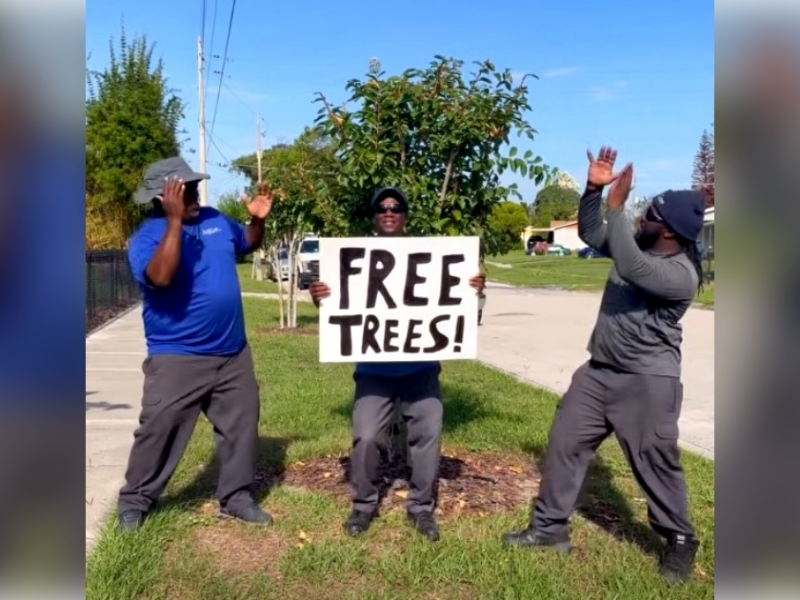 Orlando offers free street trees to lower utility bills, reduce flooding