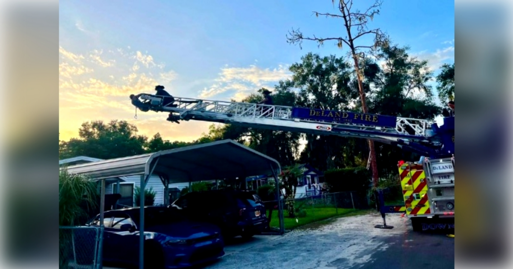 DeLand firefighters responded to the incident location on South Salisbury Avenue after receiving reports that a tree worker had lost consciousness. (Photo: DeLand Fire Department)